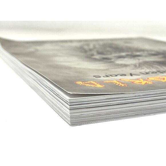 Loopyworld The Iron Maiden Years by Steve "Loopy" Newhouse Signed Autographed - Picture 4 of 6